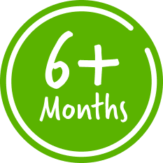 6+ Months